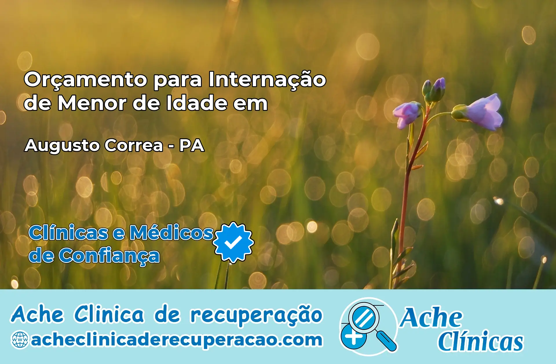 Internação de Menor de Idade em Augusto Corrêa – PA