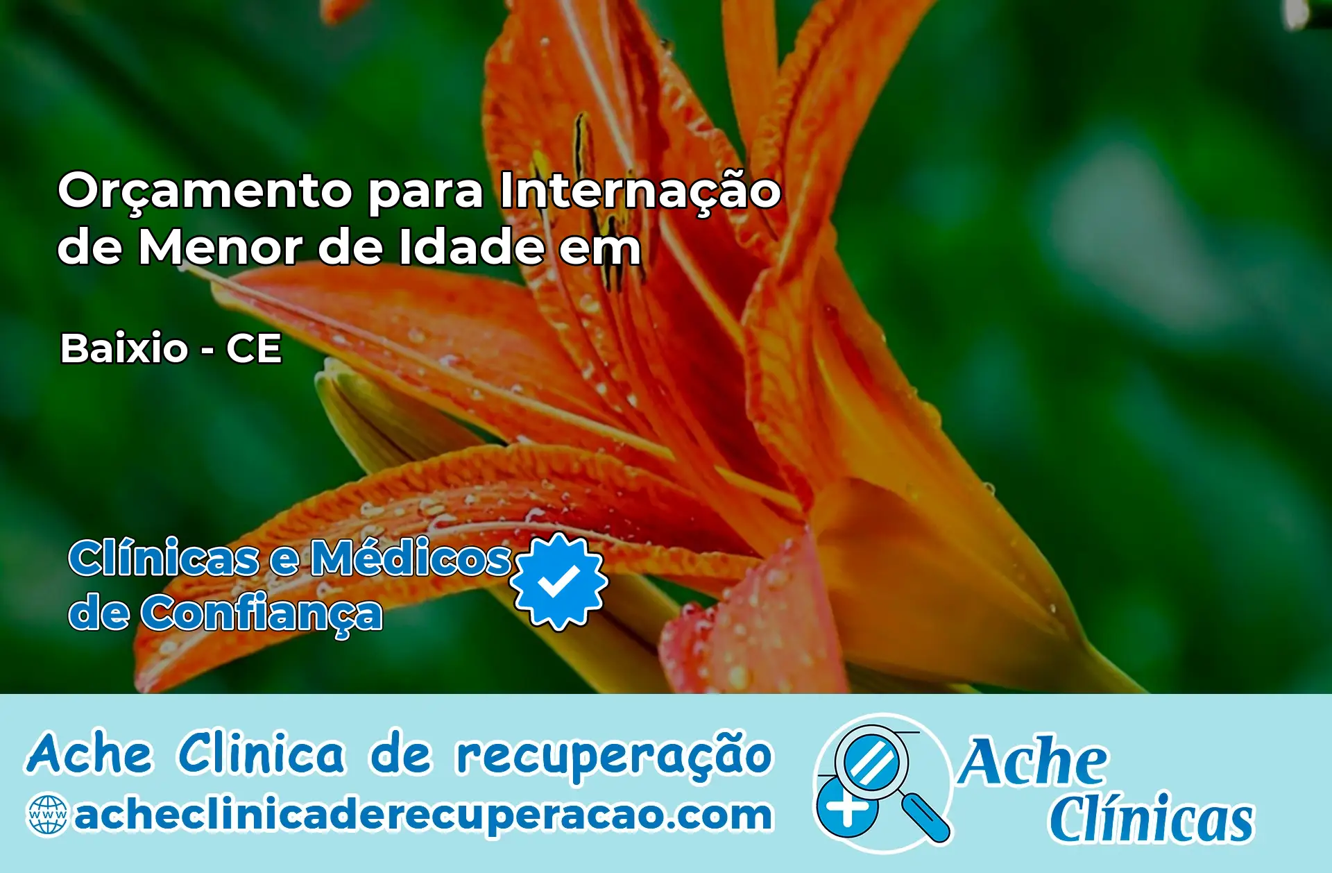 Internação de Menor de Idade em Baixio – CE