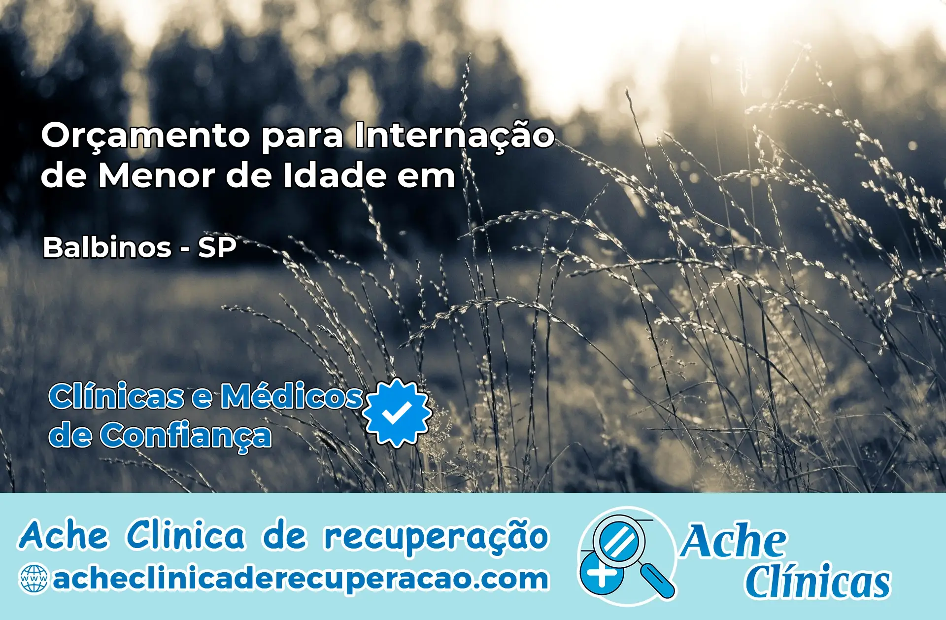 Internação de Menor de Idade em Balbinos – SP