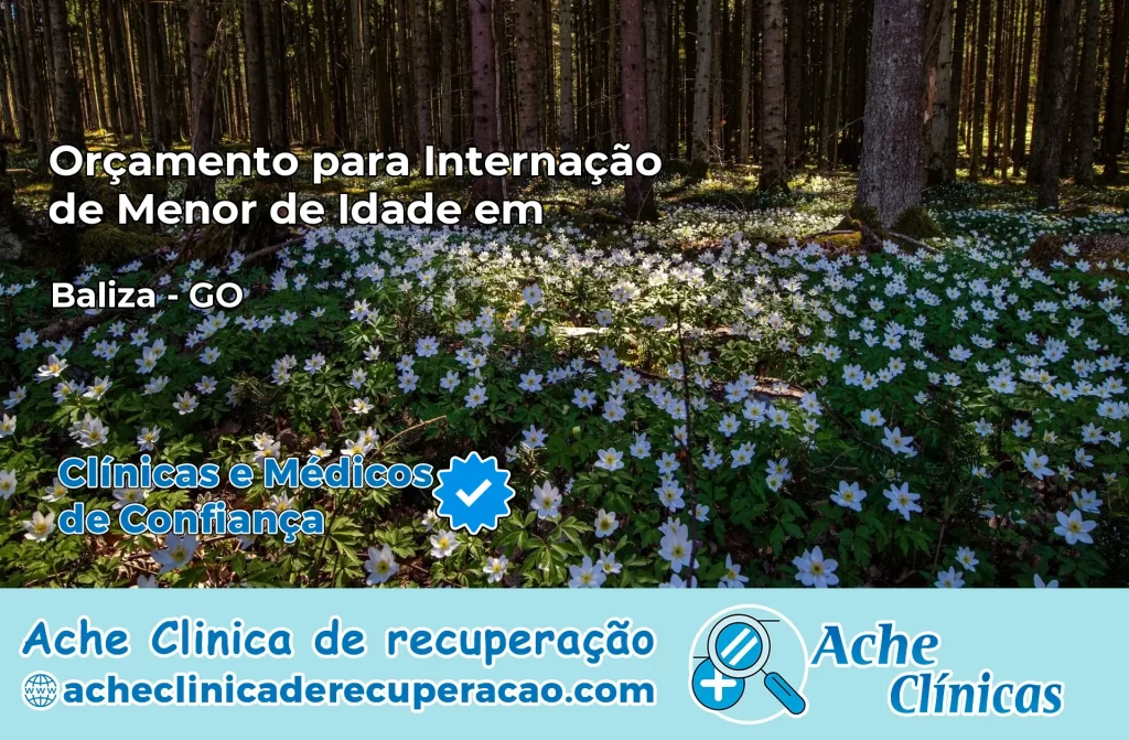 Internação de Menor de Idade em Baliza – GO
