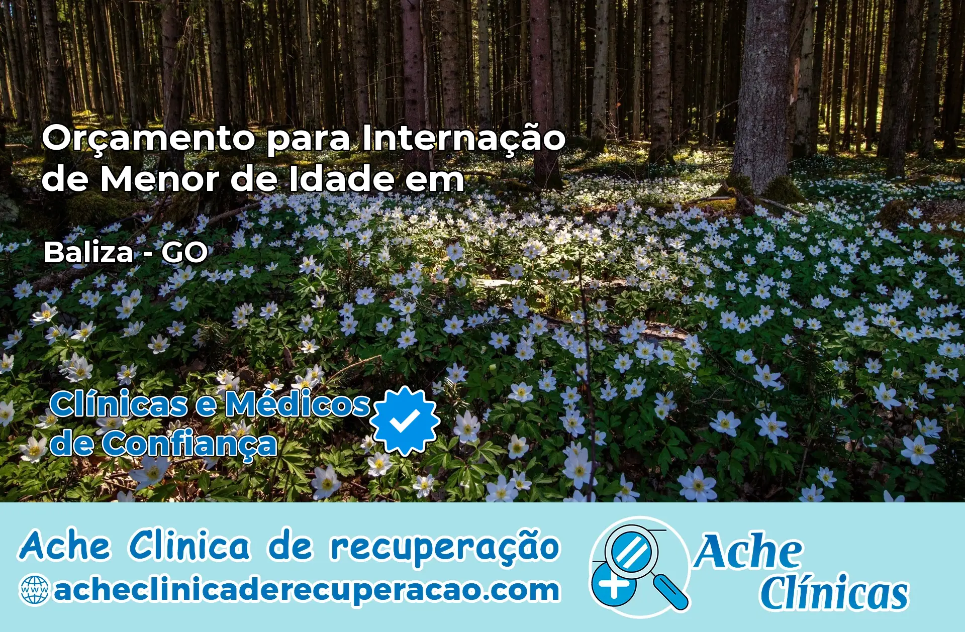 Internação de Menor de Idade em Baliza – GO
