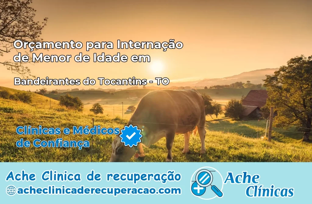 Internação de Menor de Idade em Bandeirantes do Tocantins – TO