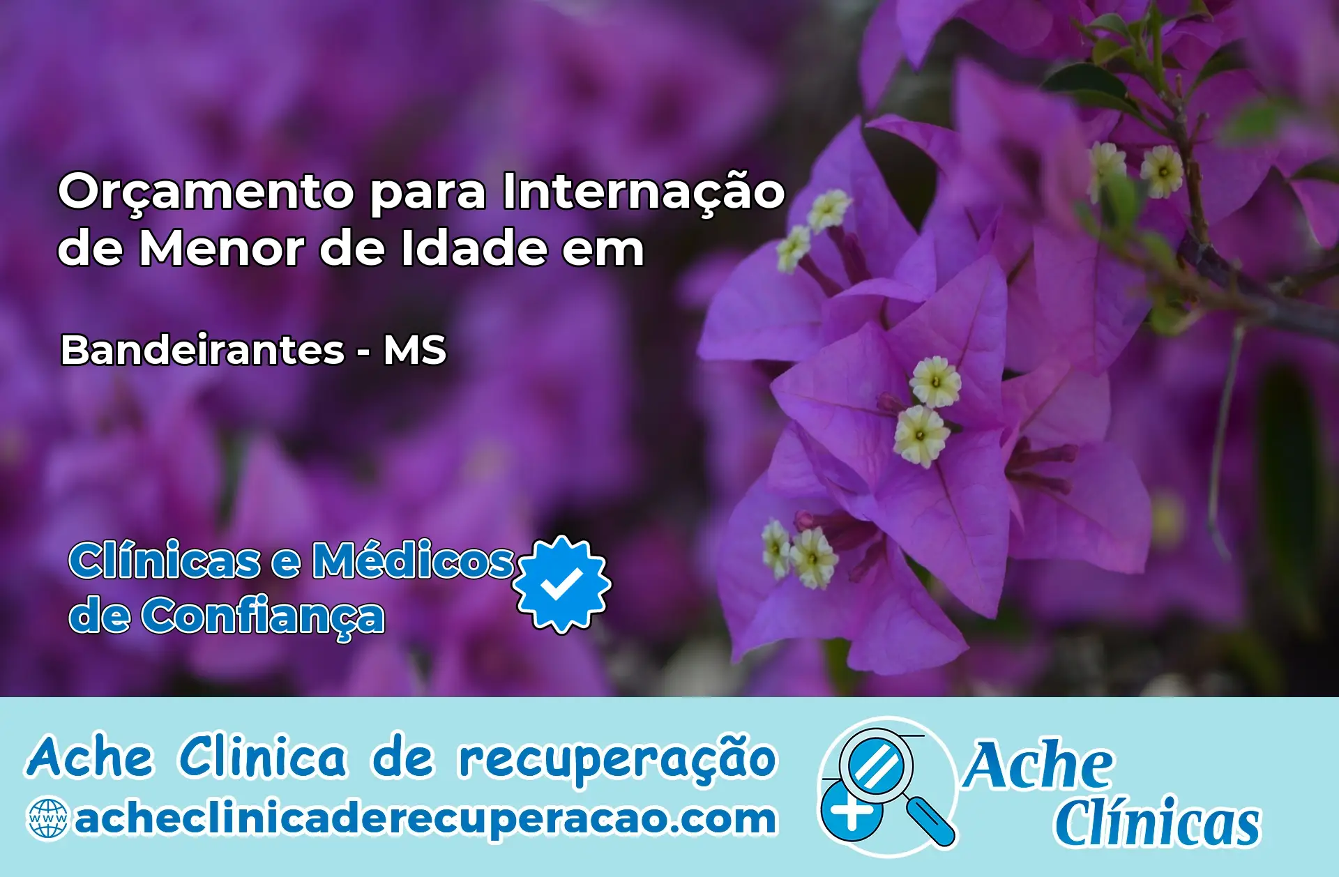 Internação de Menor de Idade em Bandeirantes – MS