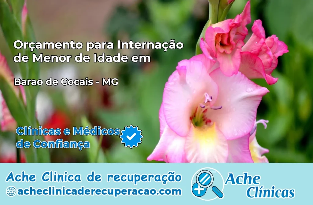 Internação de Menor de Idade em Barão de Cocais – MG