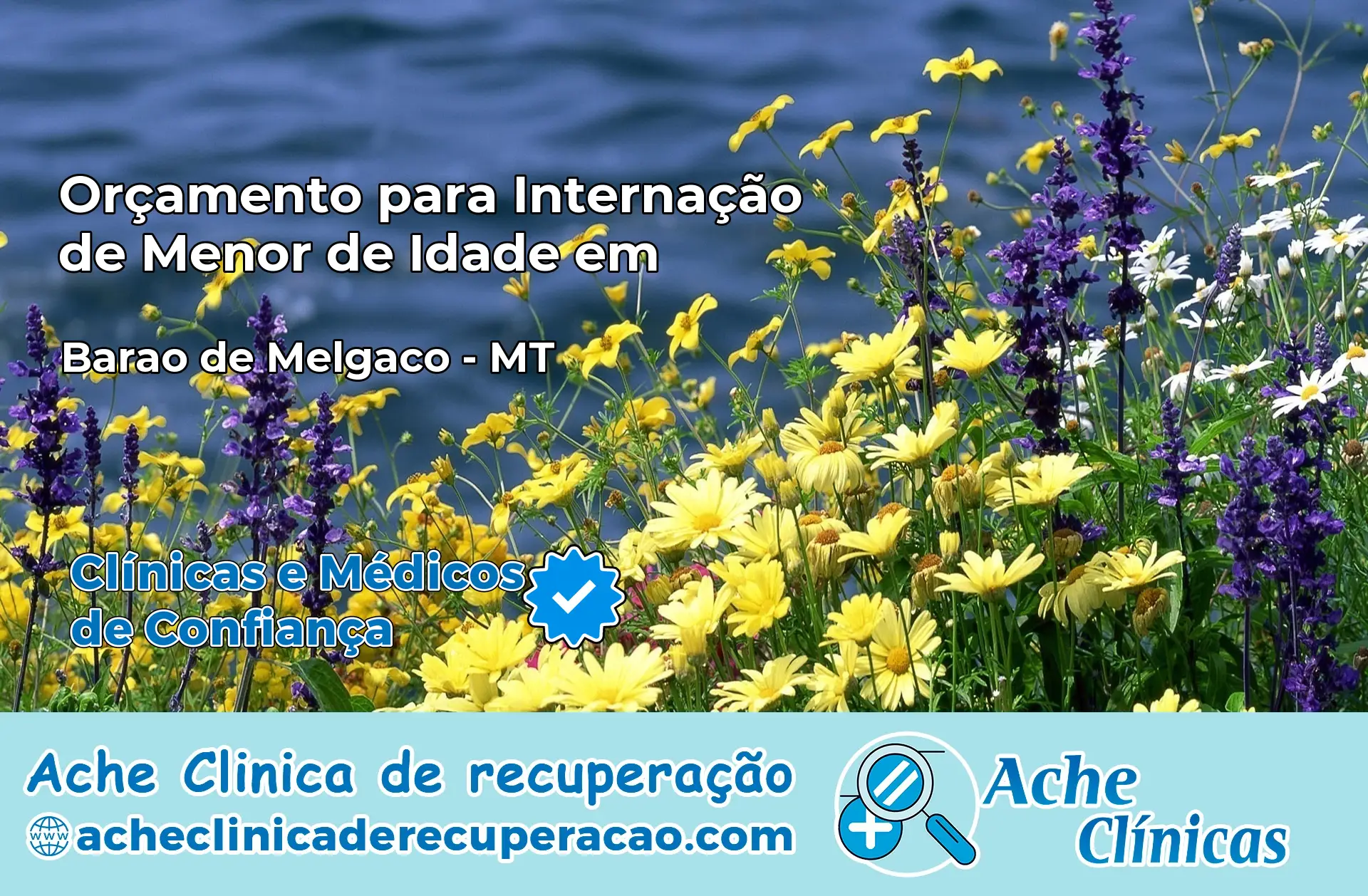 Internação de Menor de Idade em Barão de Melgaço – MT