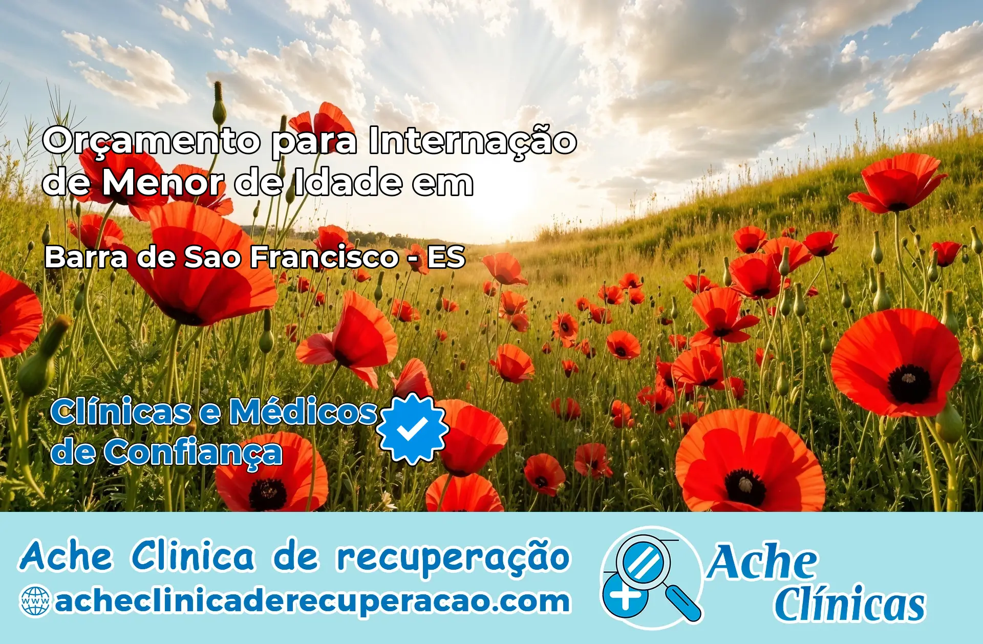 Internação de Menor de Idade em Barra de São Francisco – ES