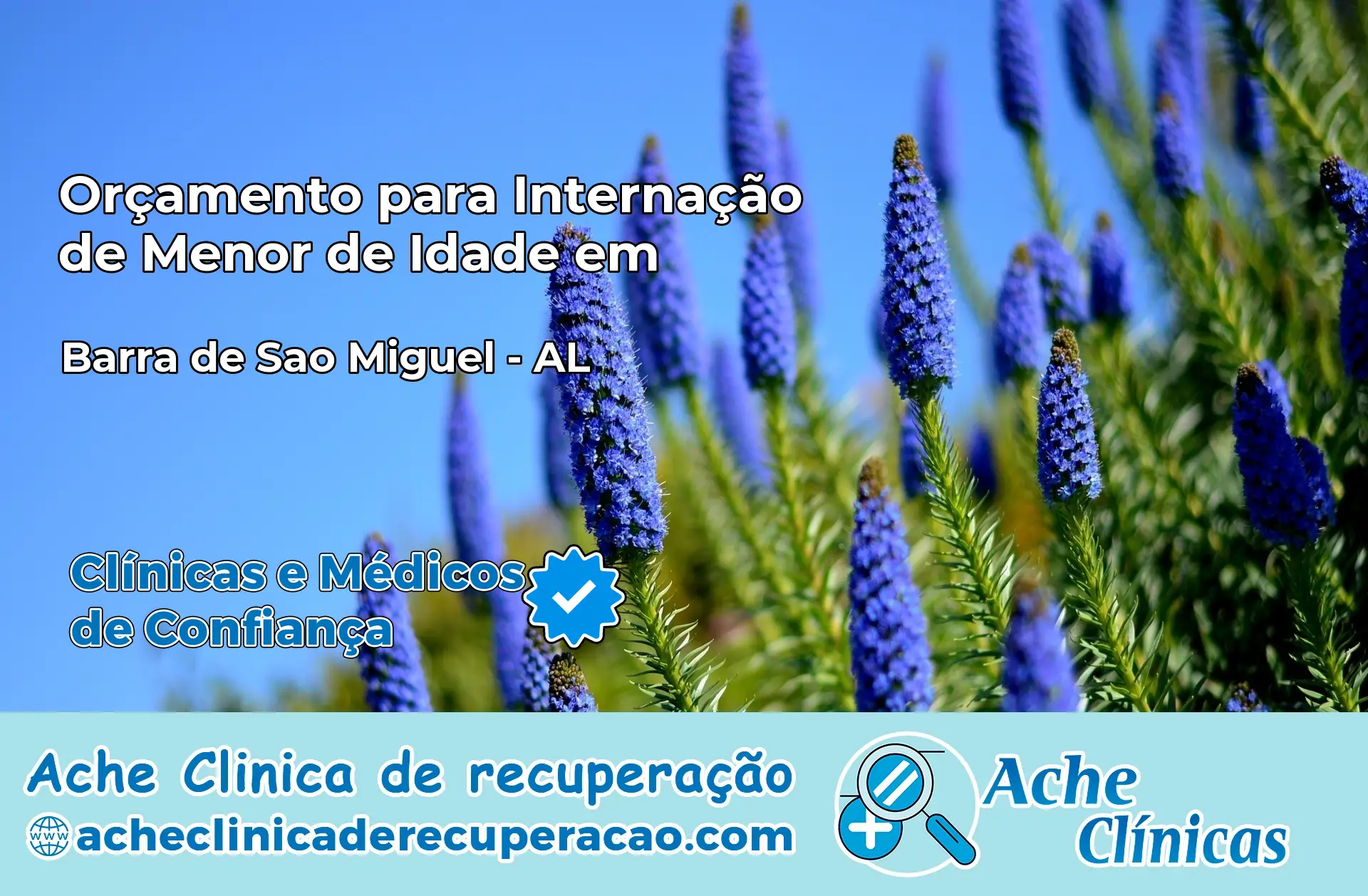 Internação de Menor de Idade em Barra de São Miguel – AL