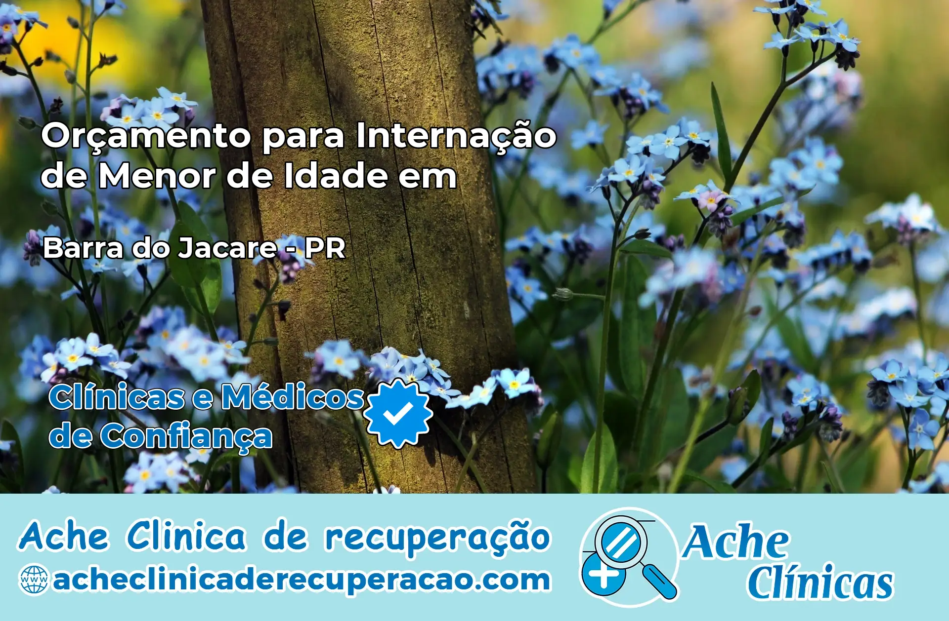 Internação de Menor de Idade em Barra do Jacaré – PR