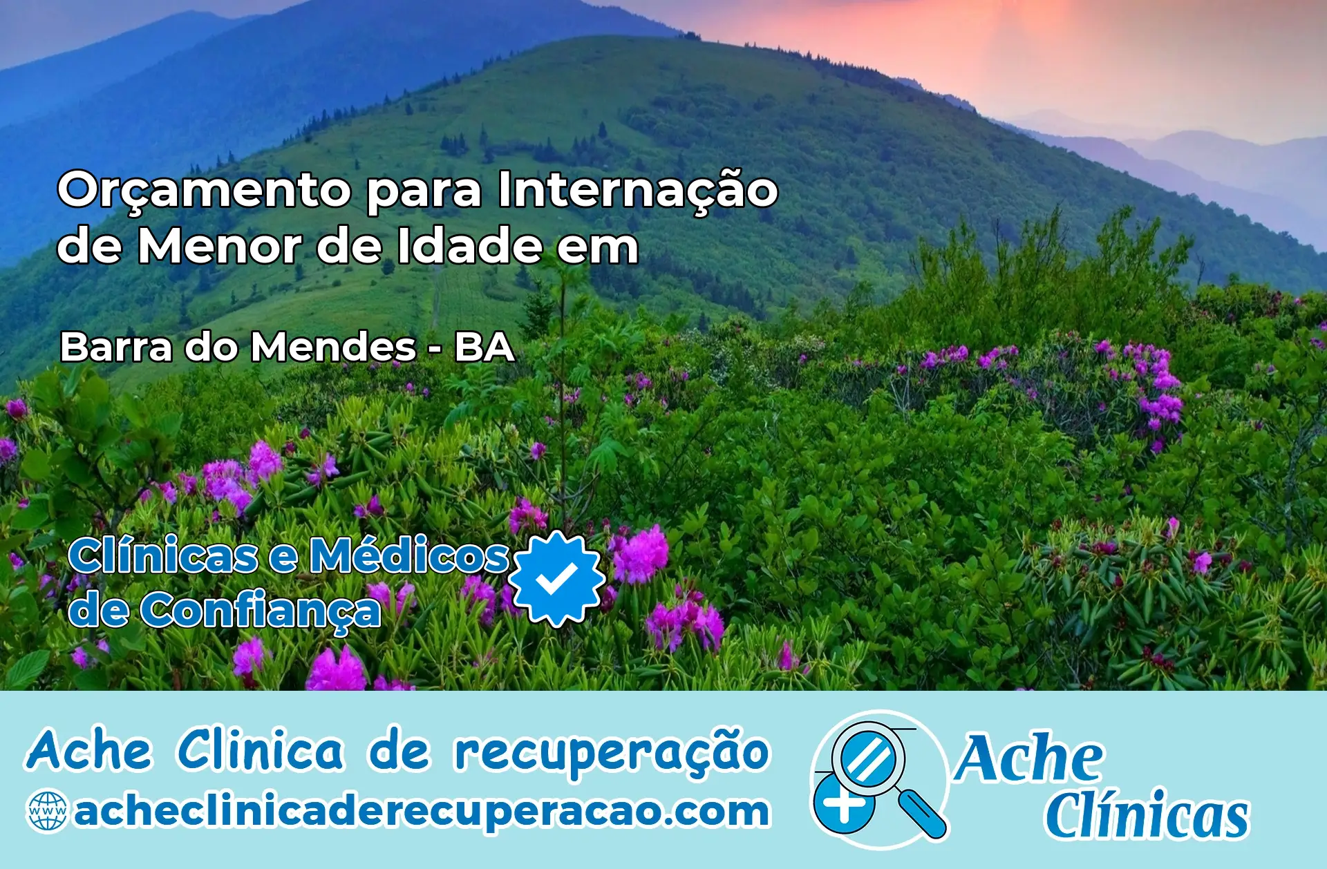 Internação de Menor de Idade em Barra do Mendes – BA