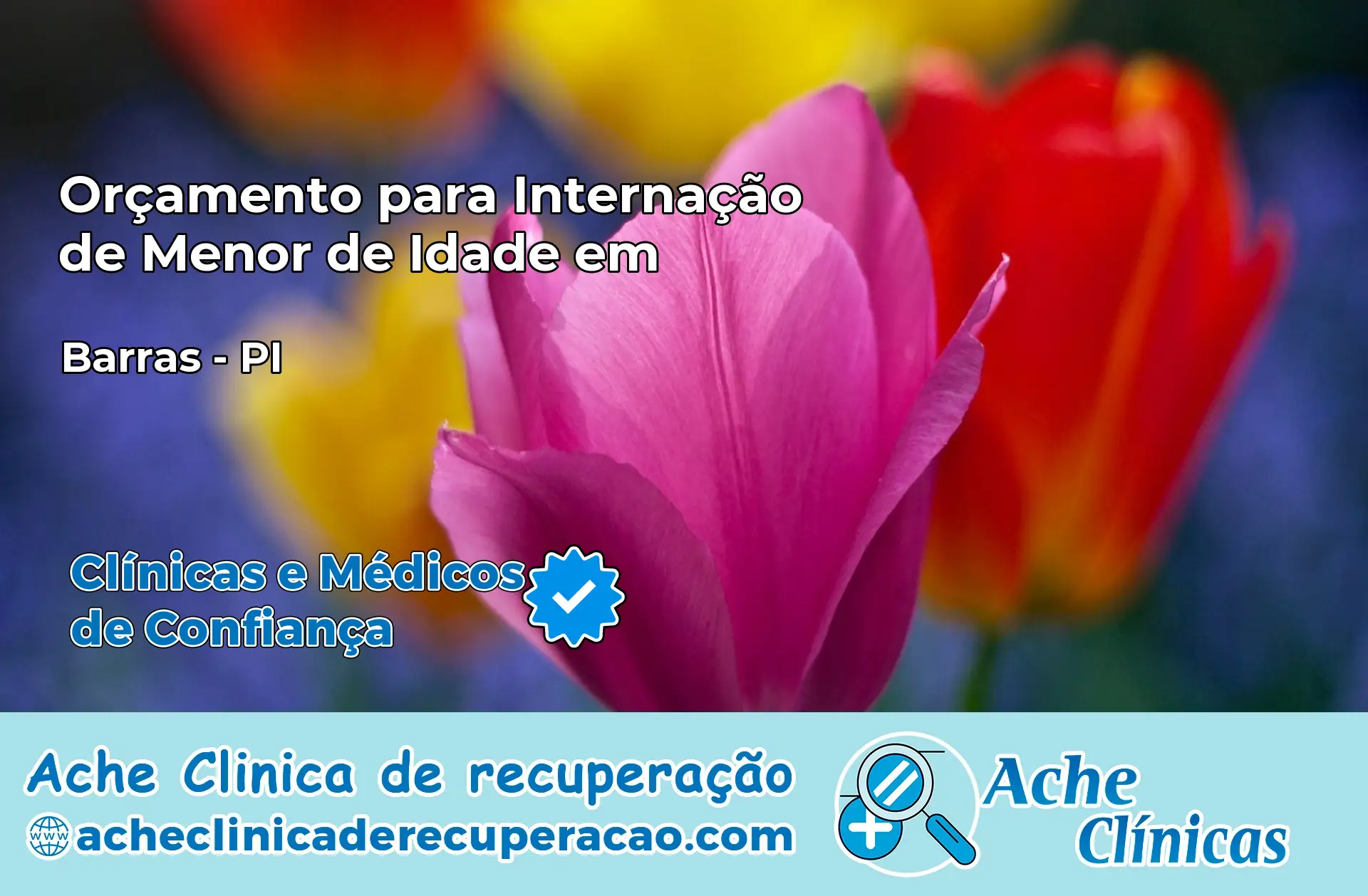 Internação de Menor de Idade em Barras – PI