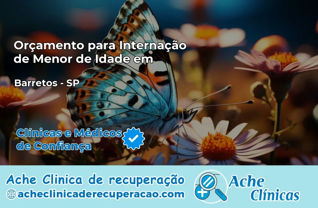 Internação de Menor de Idade em Barretos – SP