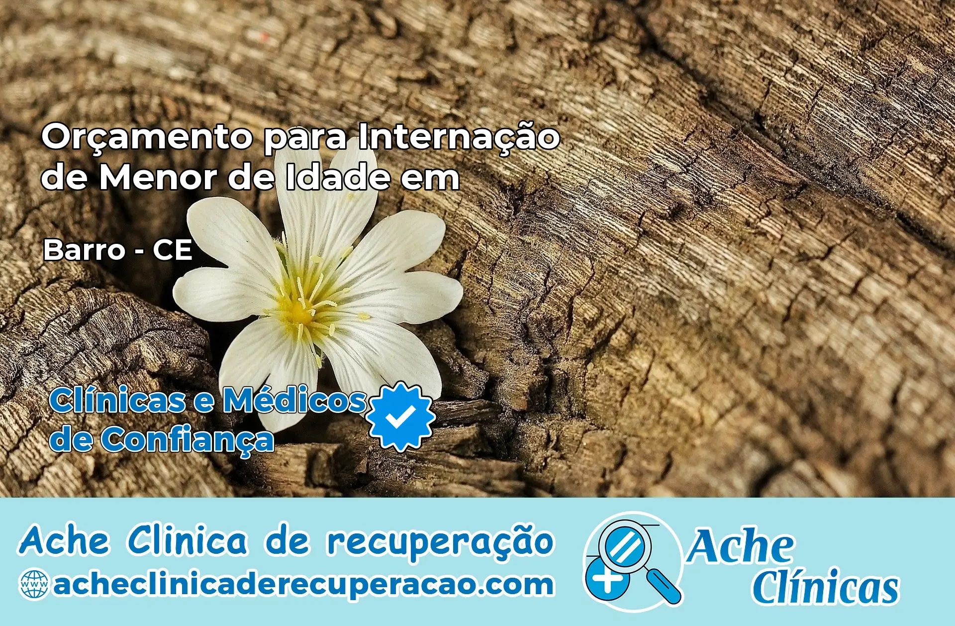 Internação de Menor de Idade em Barro – CE