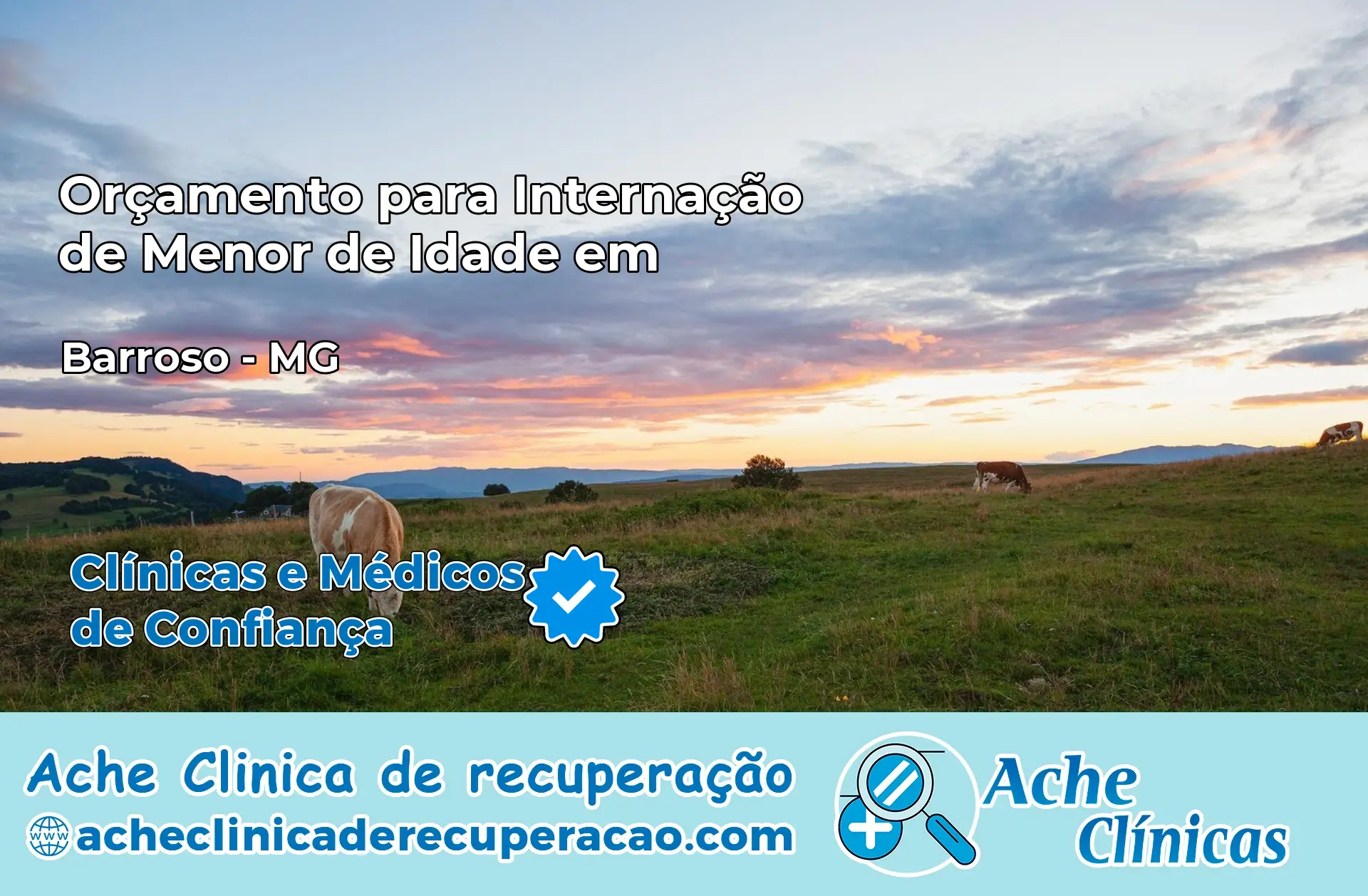 Internação de Menor de Idade em Barroso – MG