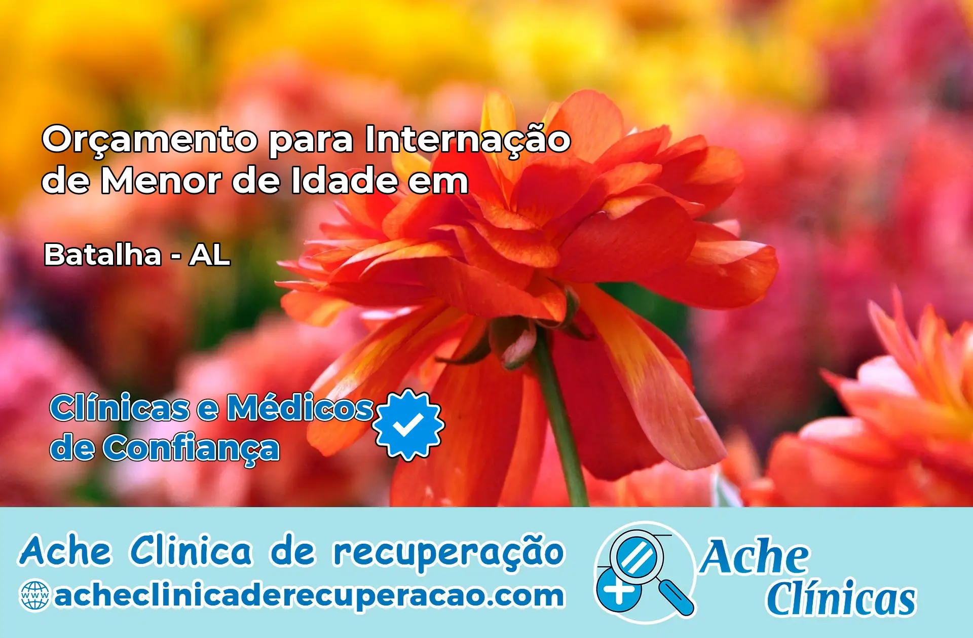 Internação de Menor de Idade em Batalha – AL