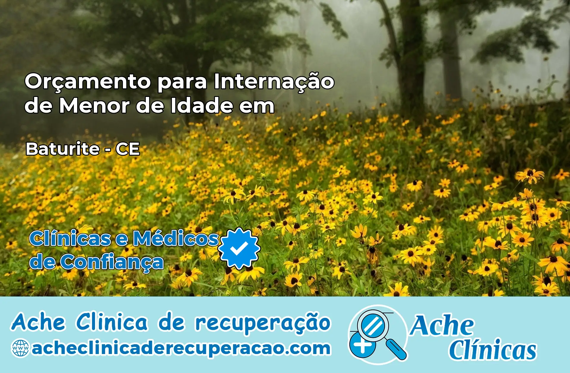 Internação de Menor de Idade em Baturité – CE