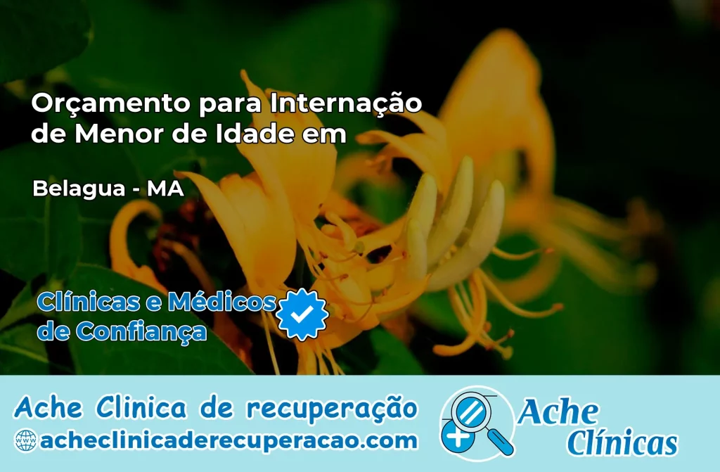 Internação de Menor de Idade em Belágua – MA