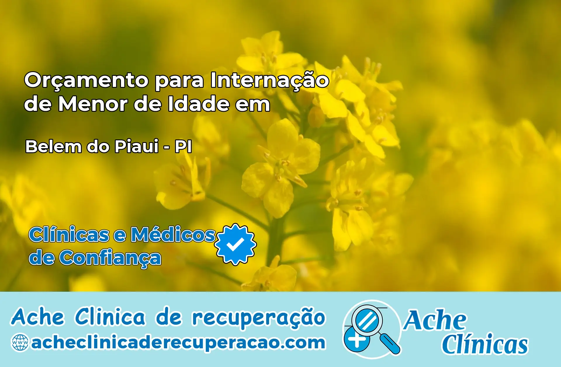 Internação de Menor de Idade em Belém do Piauí – PI