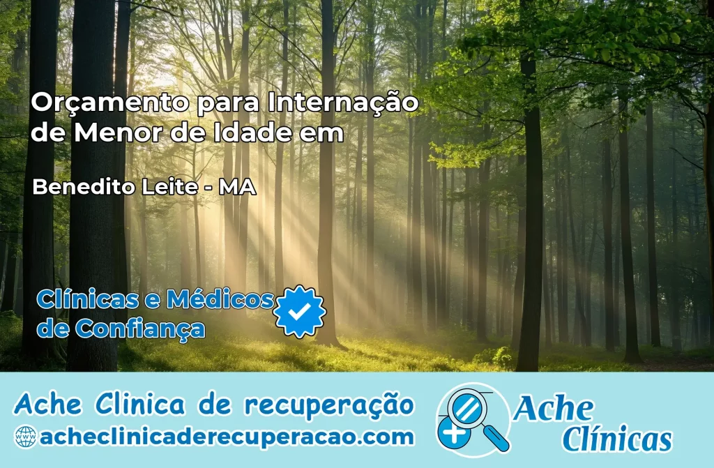 Internação de Menor de Idade em Benedito Leite – MA
