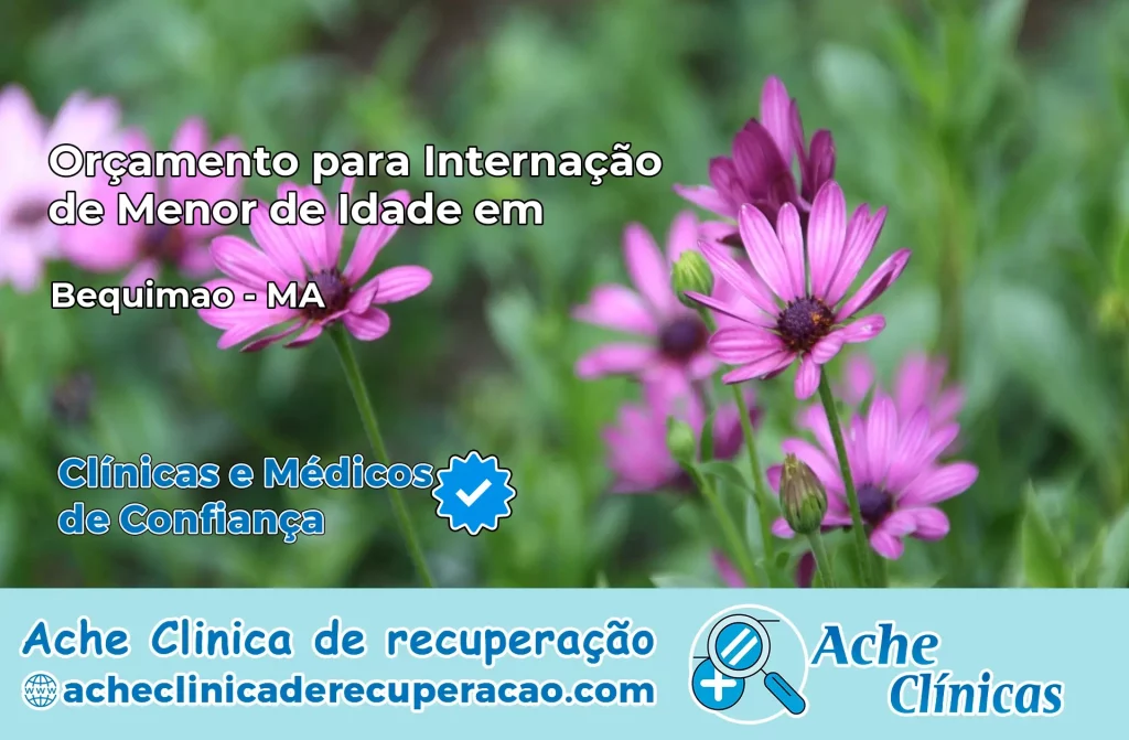 Internação de Menor de Idade em Bequimão – MA