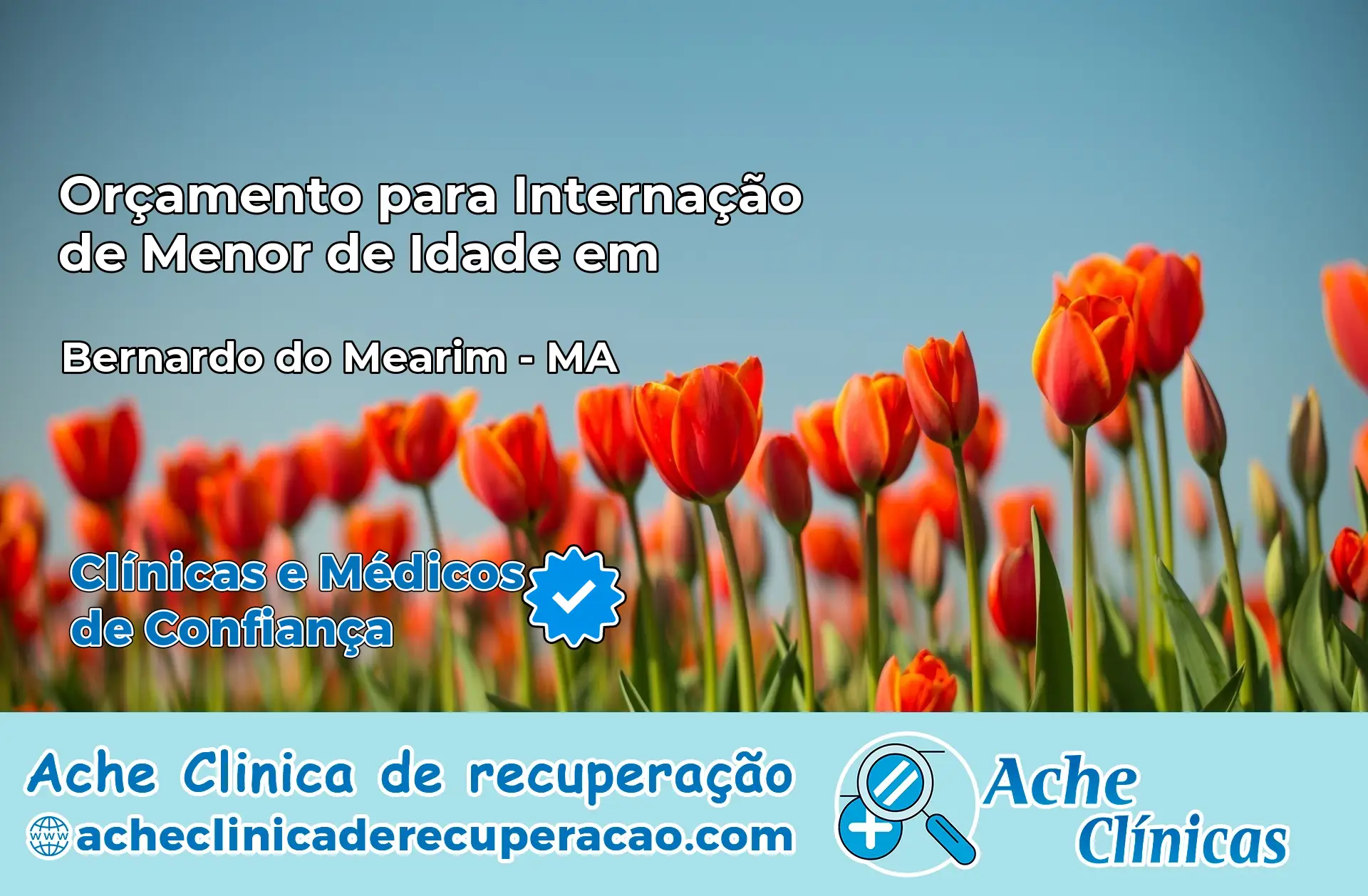 Internação de Menor de Idade em Bernardo do Mearim – MA