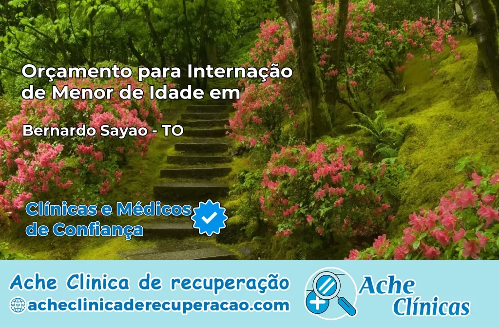 Internação de Menor de Idade em Bernardo Sayão – TO