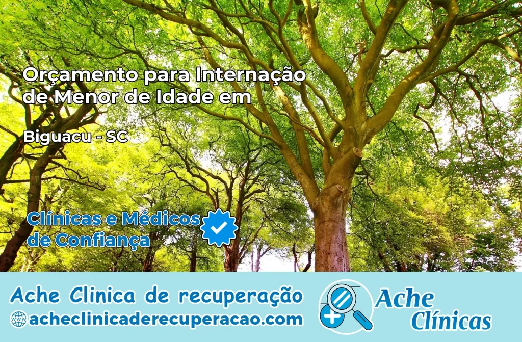 Internação de Menor de Idade em Biguaçu – SC