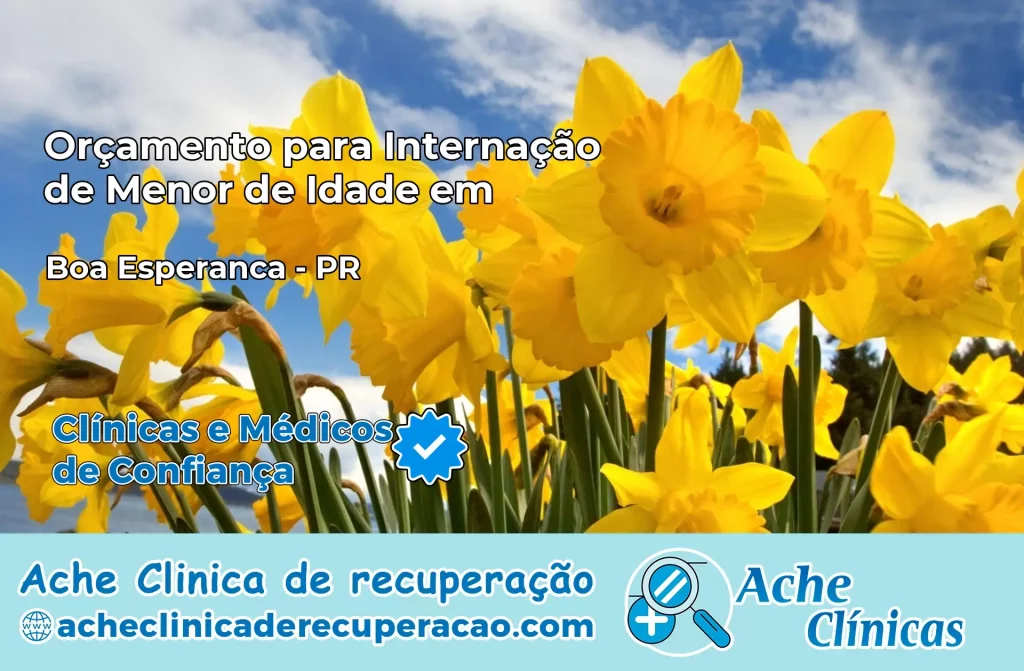 Internação de Menor de Idade em Boa Esperança – PR