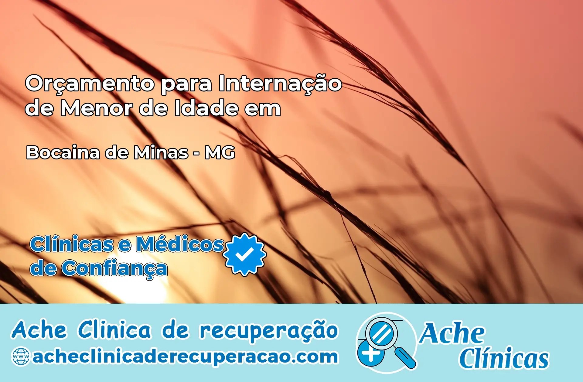 Internação de Menor de Idade em Bocaina de Minas – MG