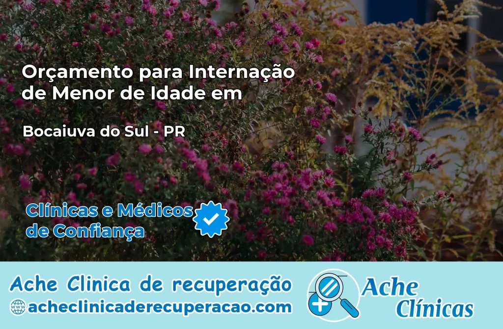 Internação de Menor de Idade em Bocaiúva do Sul – PR