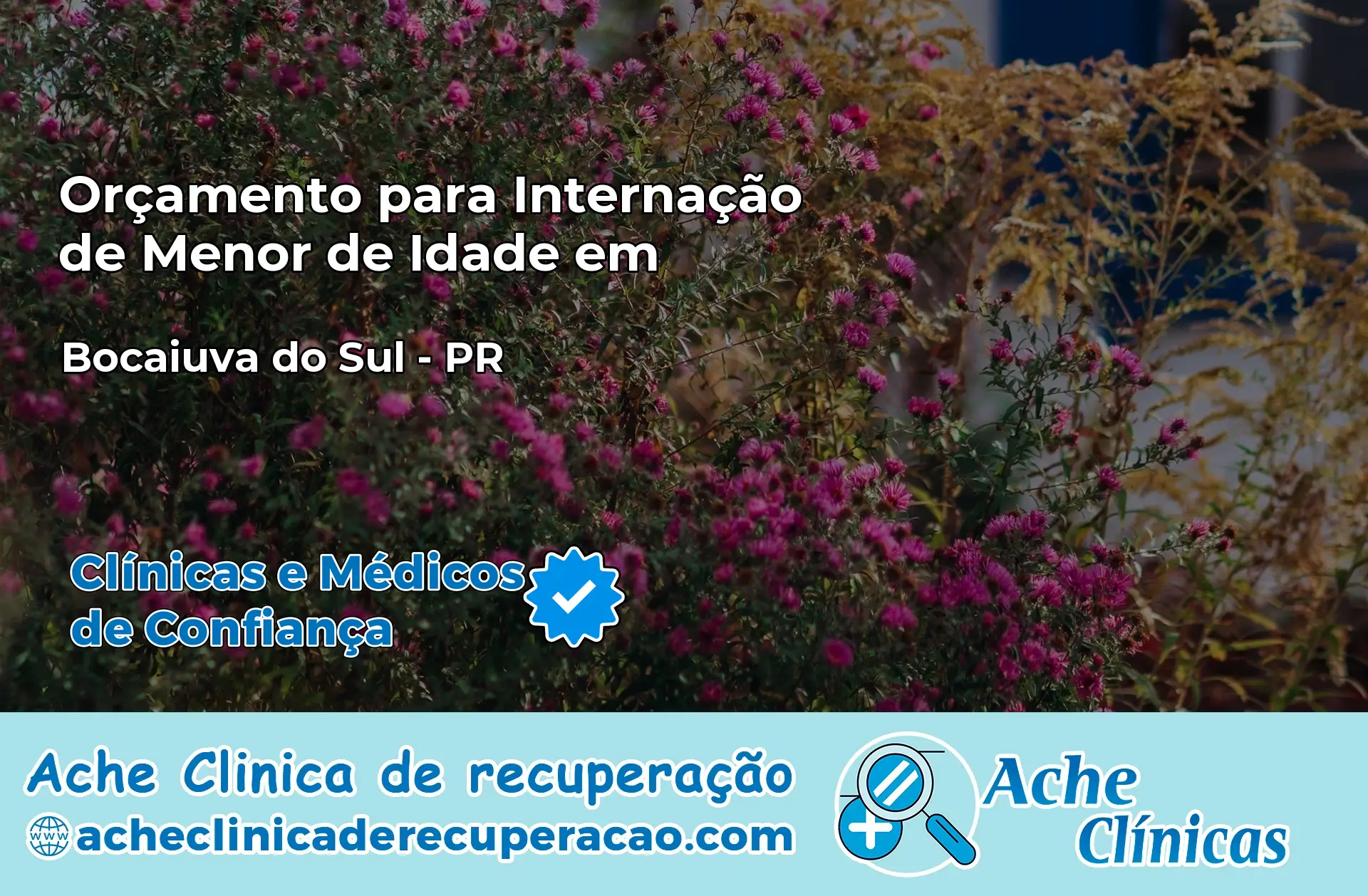 Internação de Menor de Idade em Bocaiúva do Sul – PR