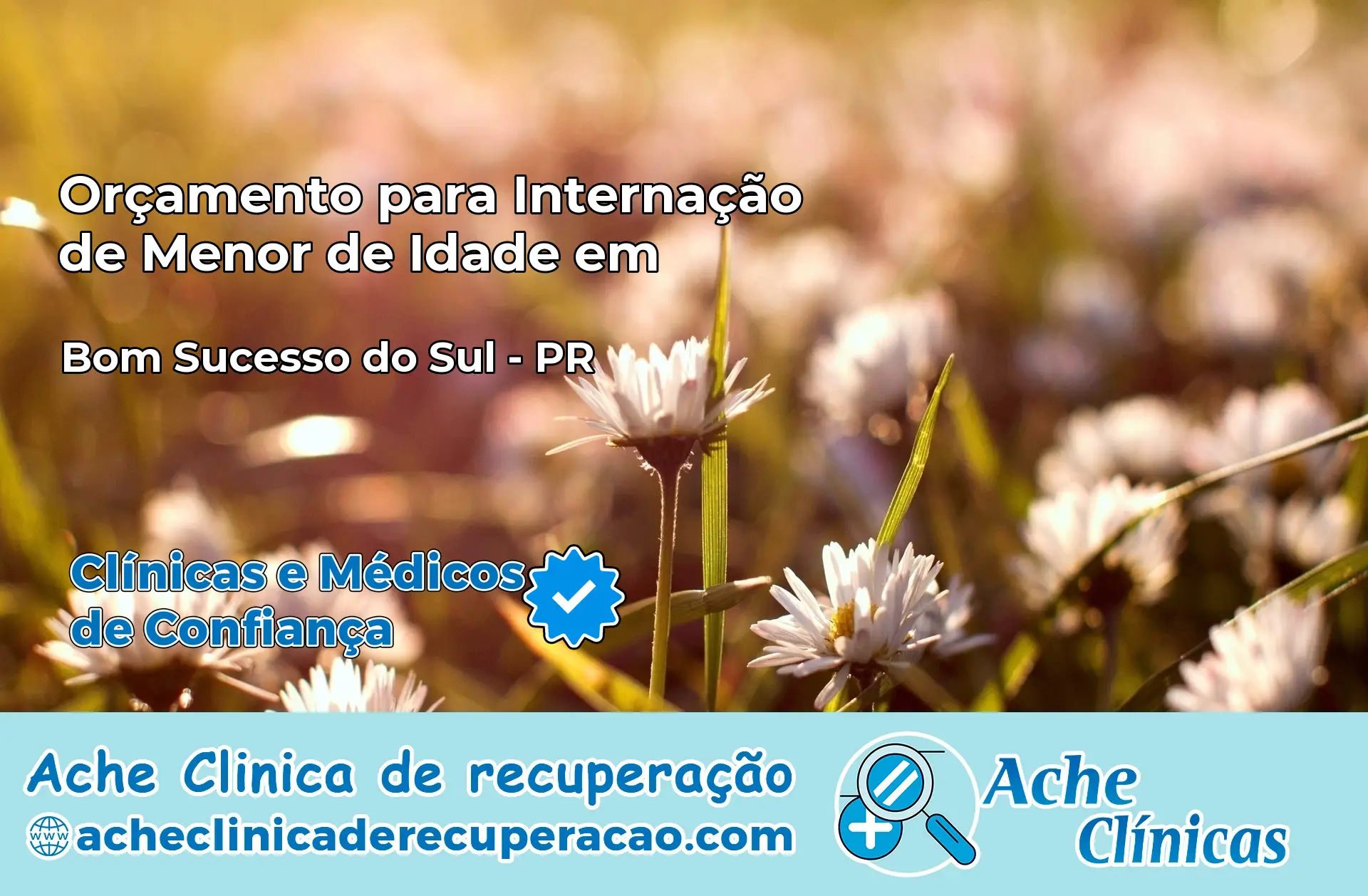 Internação de Menor de Idade em Bom Sucesso do Sul – PR