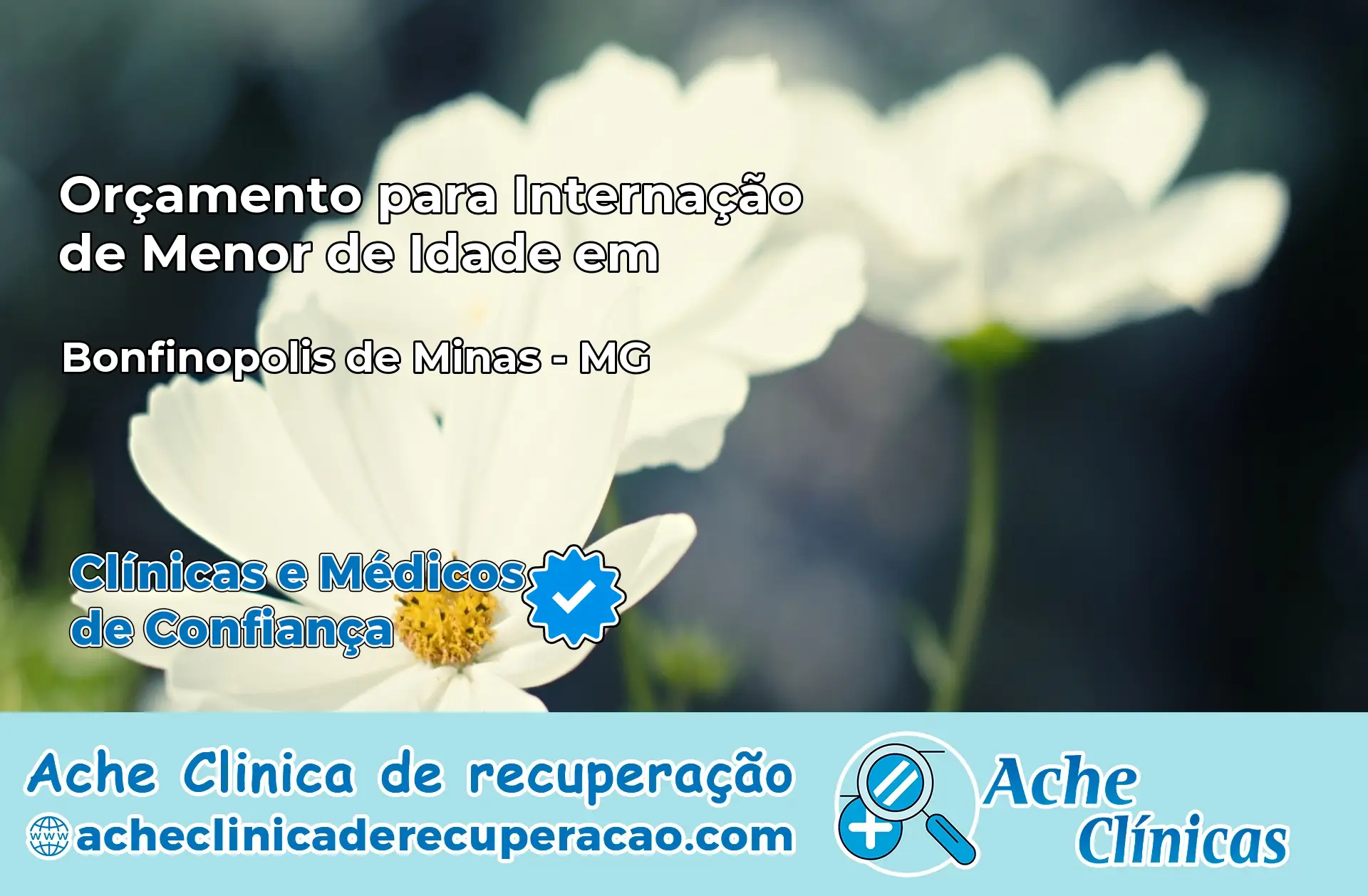Internação de Menor de Idade em Bonfinópolis de Minas – MG