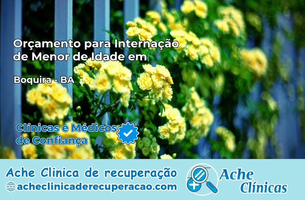 Internação de Menor de Idade em Boquira – BA