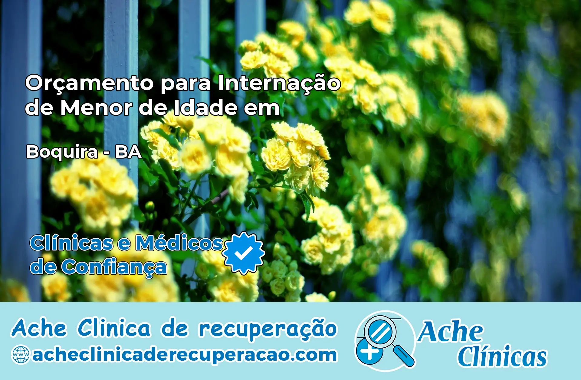 Internação de Menor de Idade em Boquira – BA