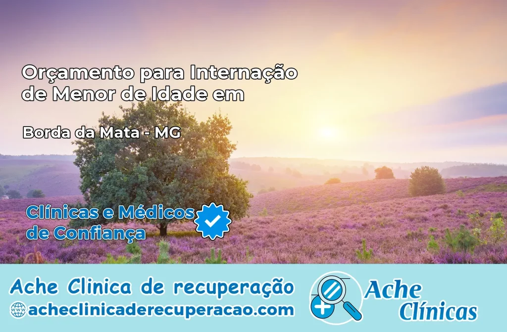 Internação de Menor de Idade em Borda da Mata – MG