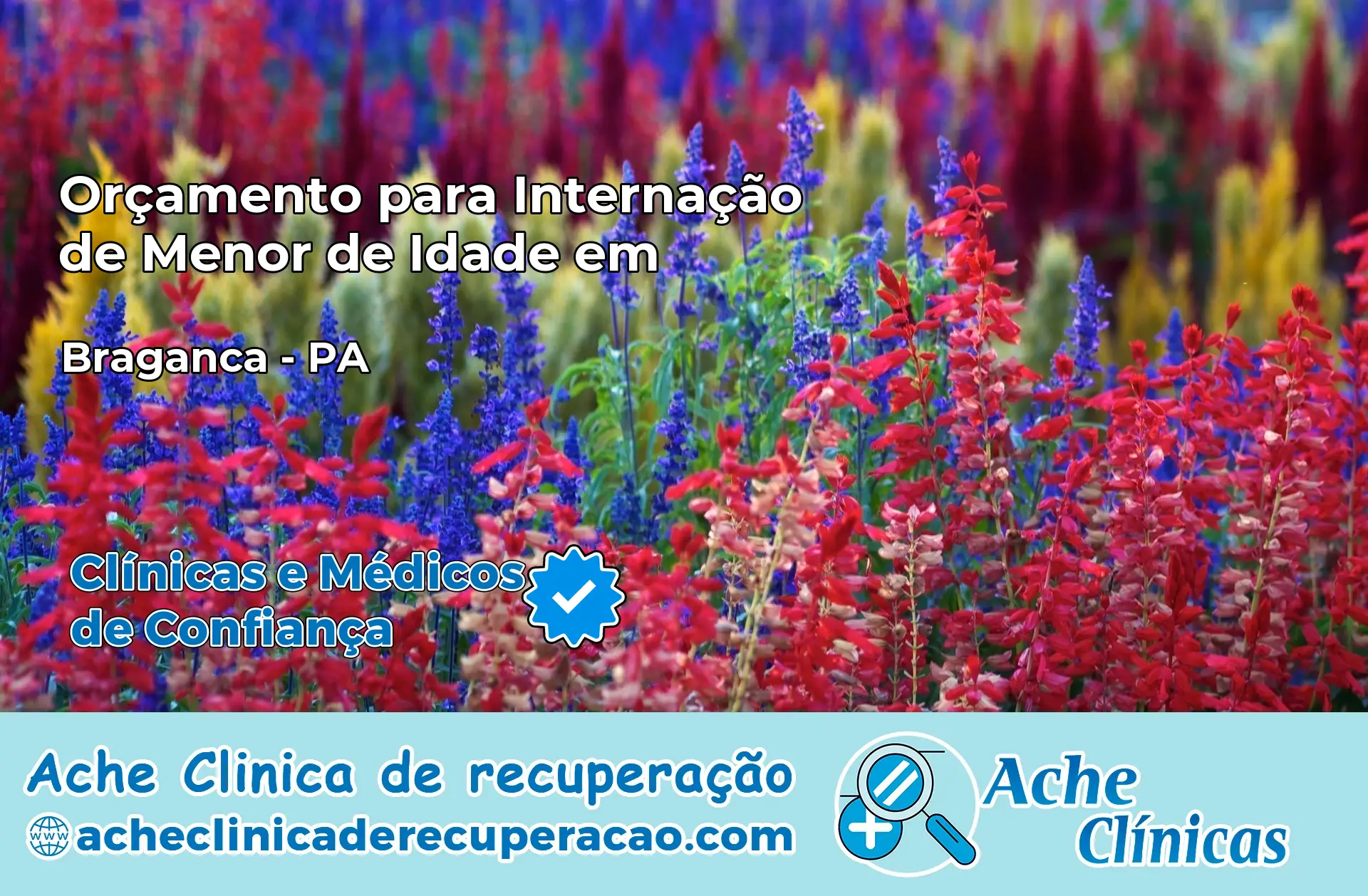 Internação de Menor de Idade em Bragança – PA