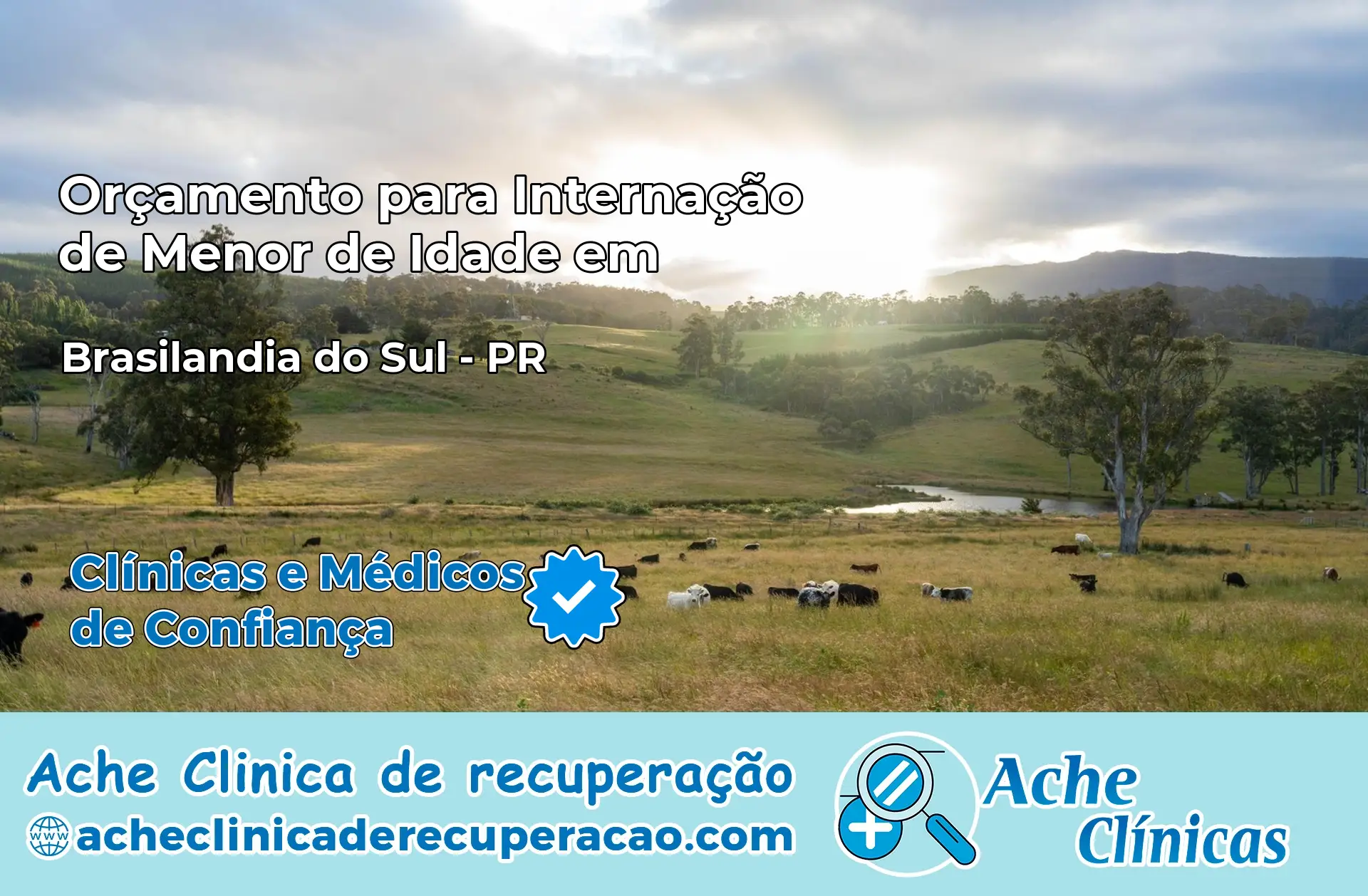 Internação de Menor de Idade em Brasilândia do Sul – PR