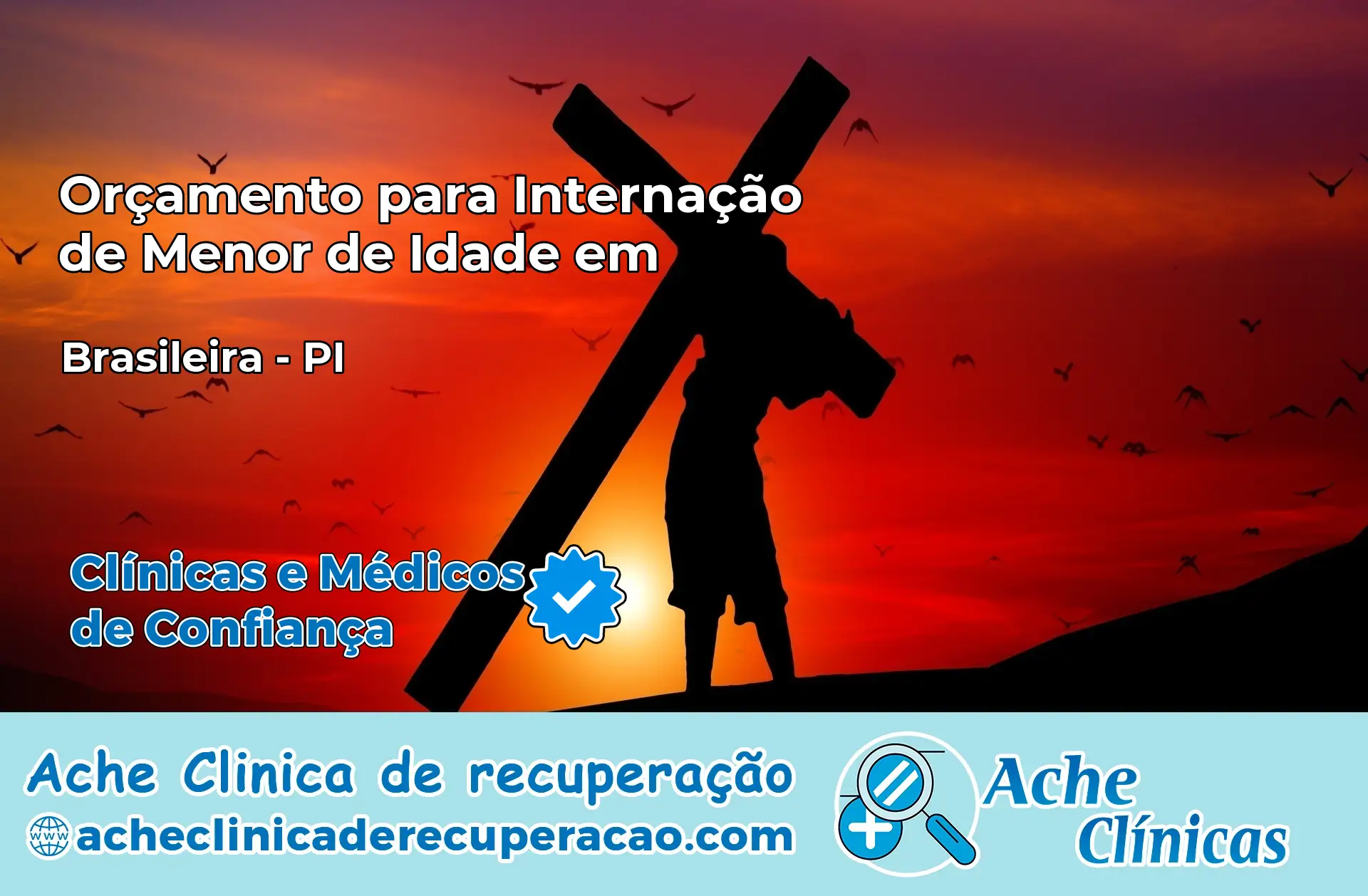 Internação de Menor de Idade em Brasileira – PI