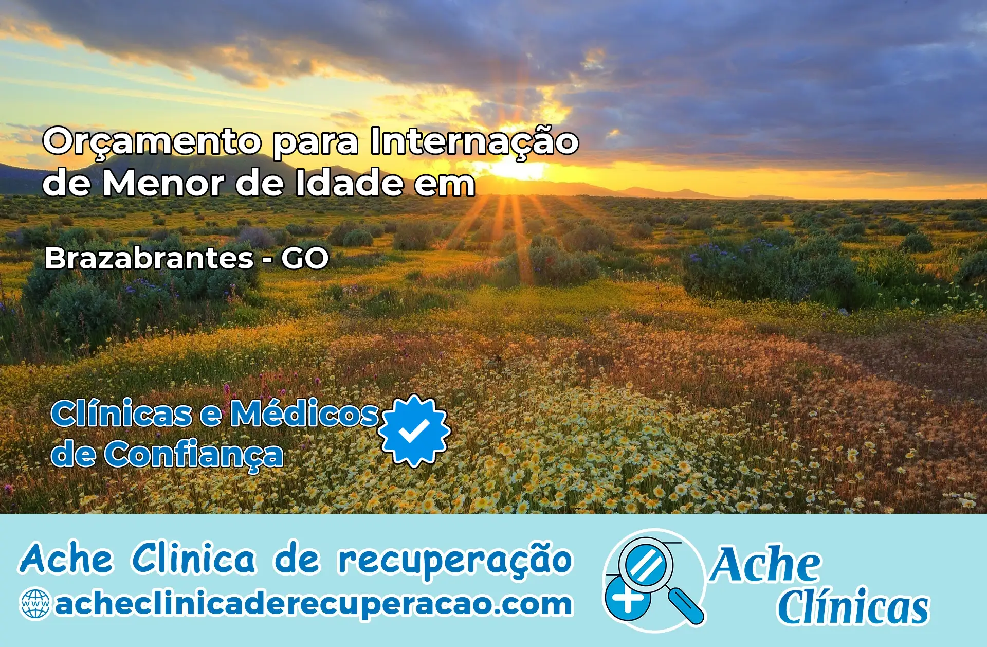 Internação de Menor de Idade em Brazabrantes – GO