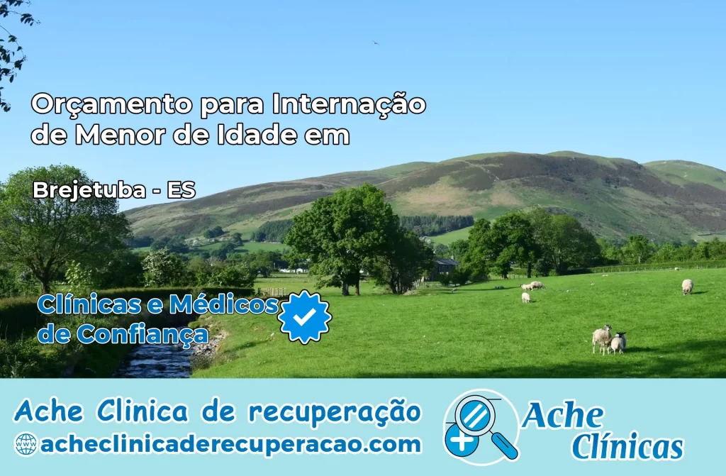 Internação de Menor de Idade em Brejetuba – ES