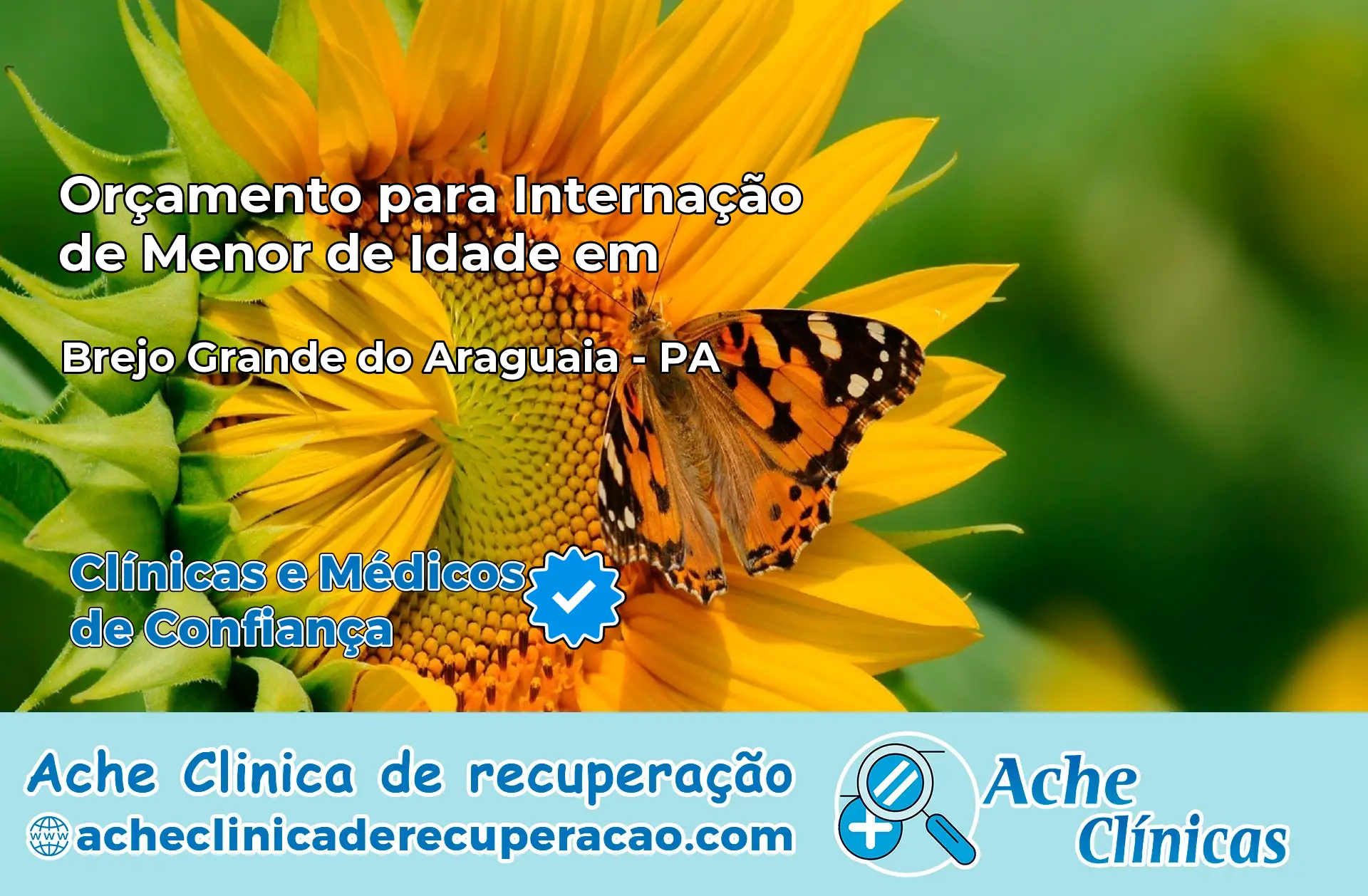 Internação de Menor de Idade em Brejo Grande do Araguaia – PA