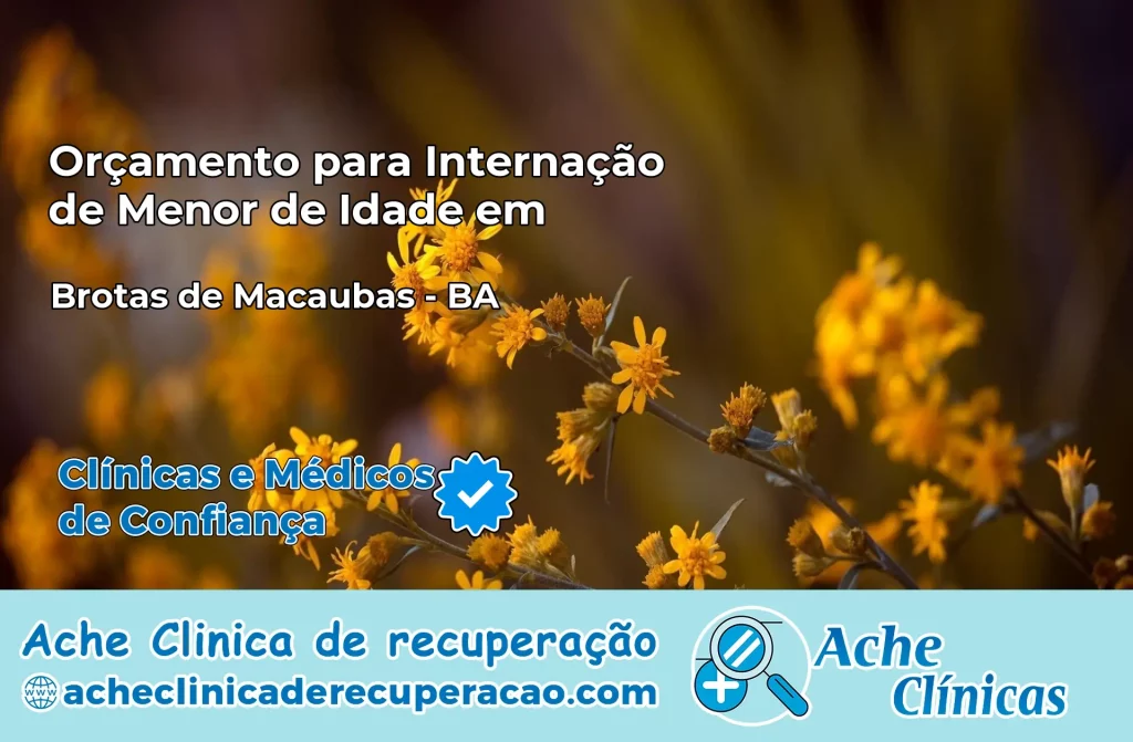 Internação de Menor de Idade em Brotas de Macaúbas – BA