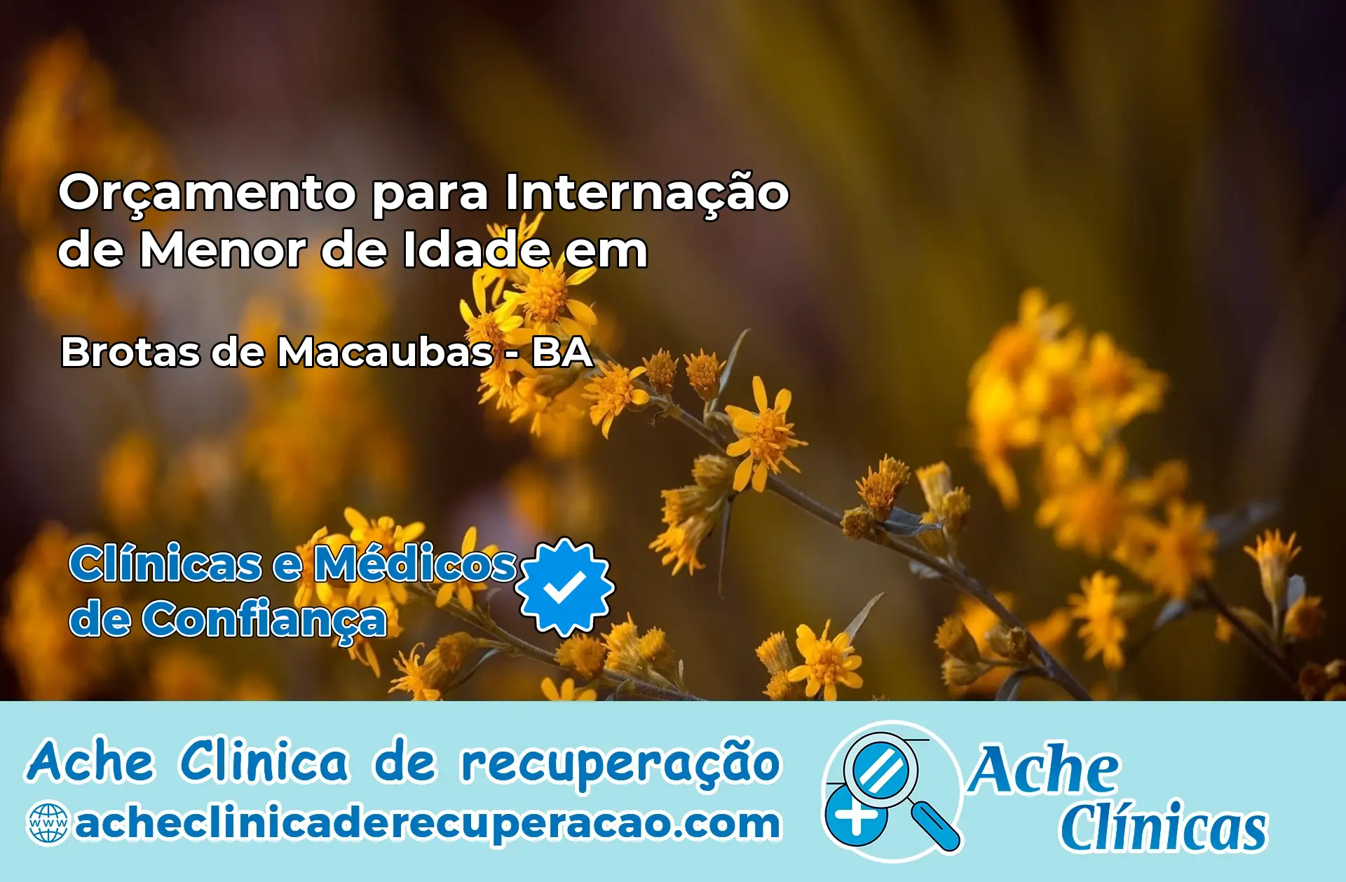Internação de Menor de Idade em Brotas de Macaúbas – BA