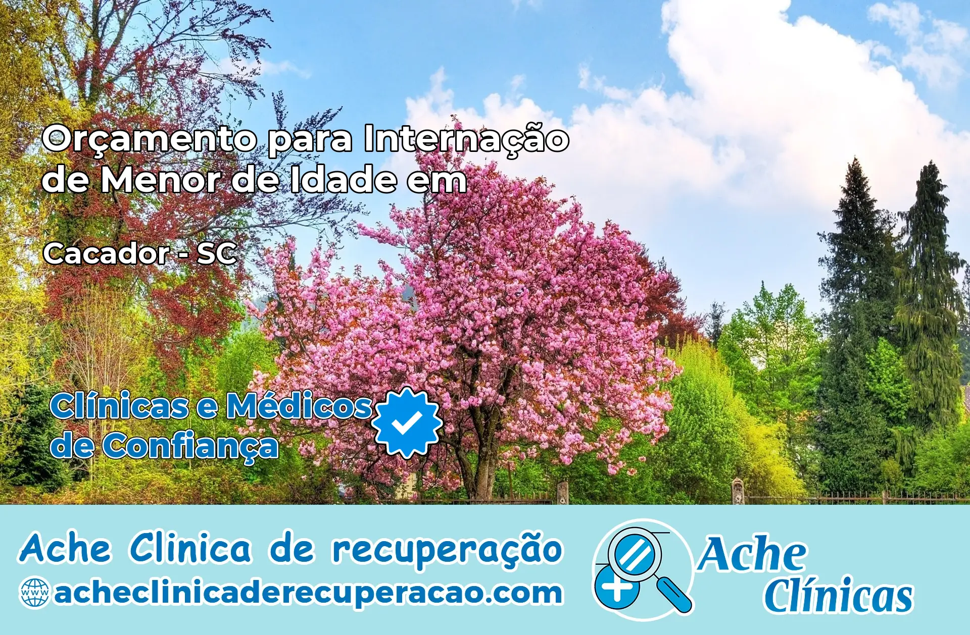 Internação de Menor de Idade em Caçador – SC