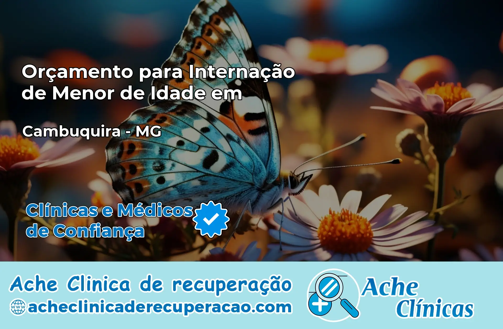 Internação de Menor de Idade em Cambuquira – MG