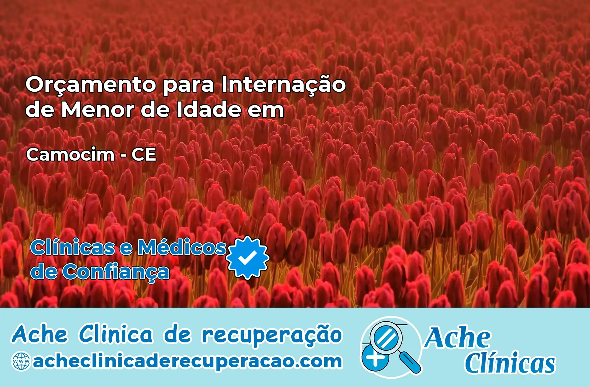 Internação de Menor de Idade em Camocim – CE