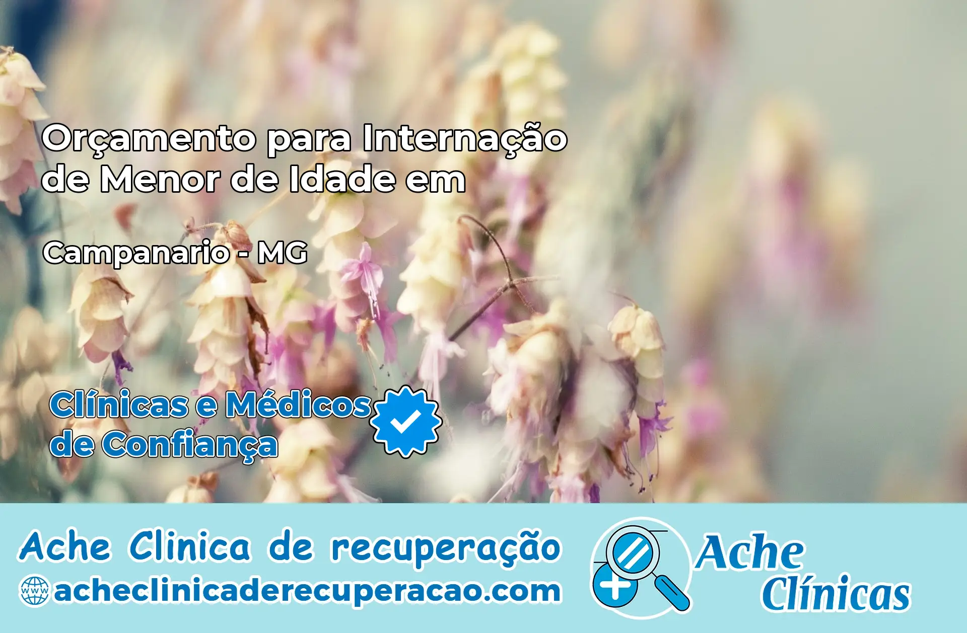Internação de Menor de Idade em Campanário – MG