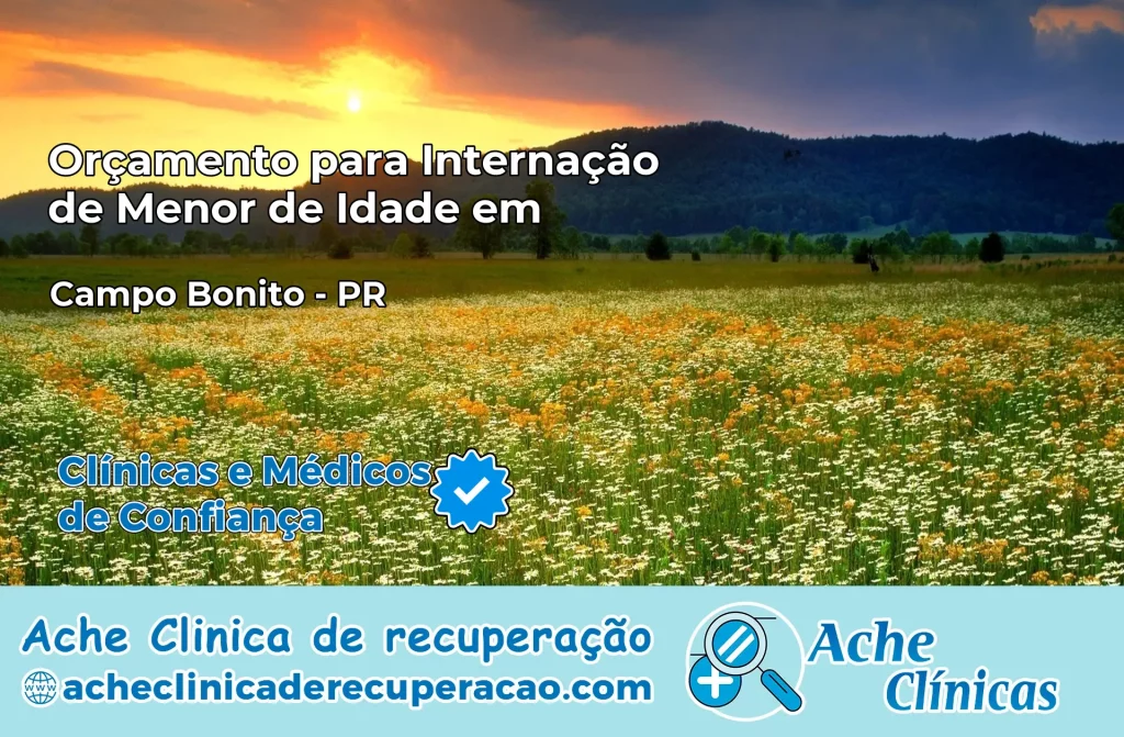 Internação de Menor de Idade em Campo Bonito – PR