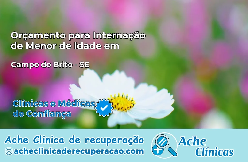 Internação de Menor de Idade em Campo do Brito – SE