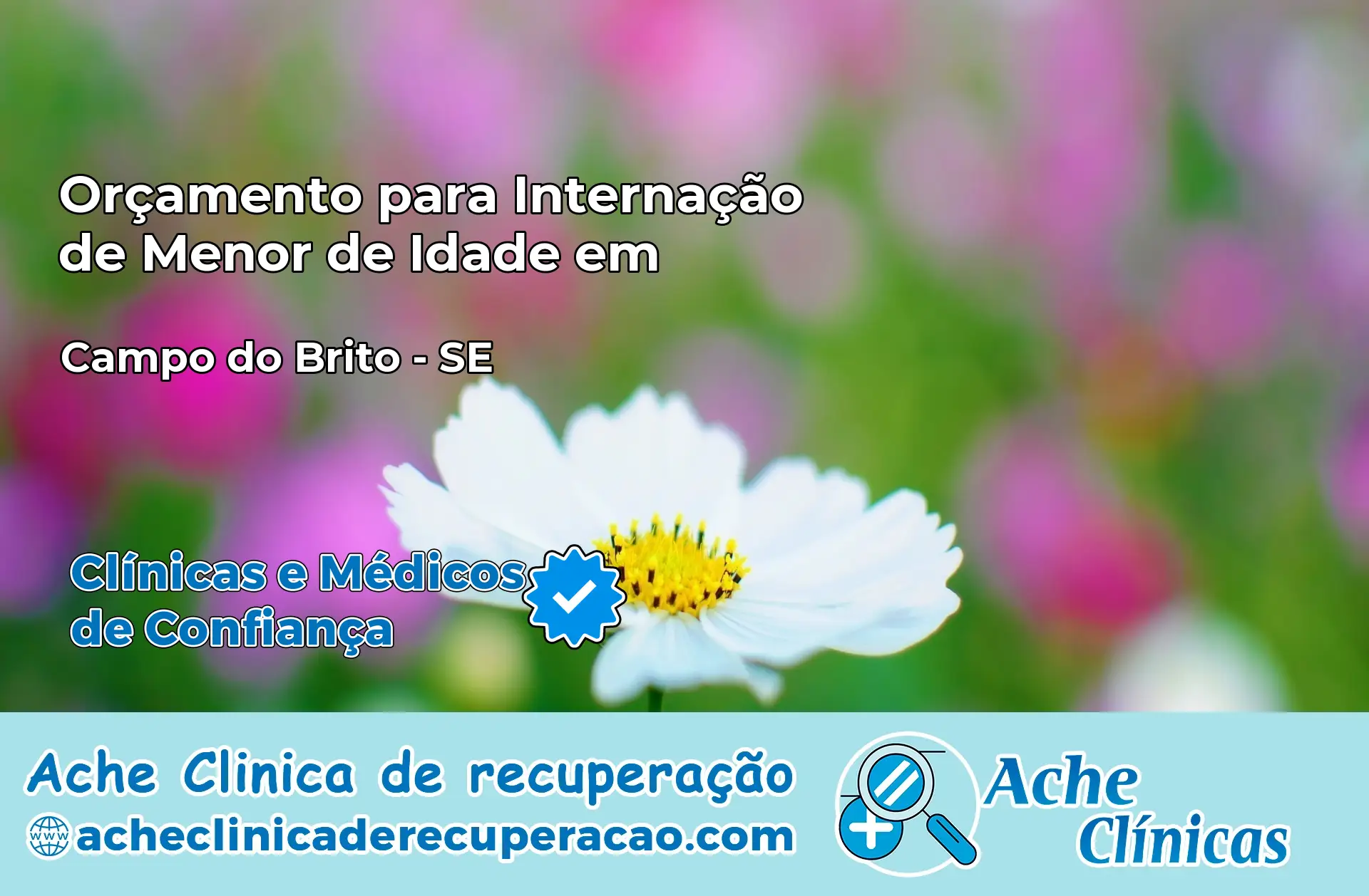 Internação de Menor de Idade em Campo do Brito – SE